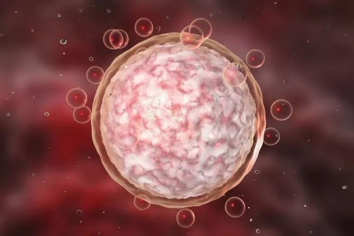 分享一下北京第三代赠卵试管婴儿的费用明细