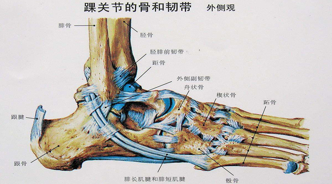 什么是人工授精和供卵试管婴儿？如果我想做，需要准备些什么？