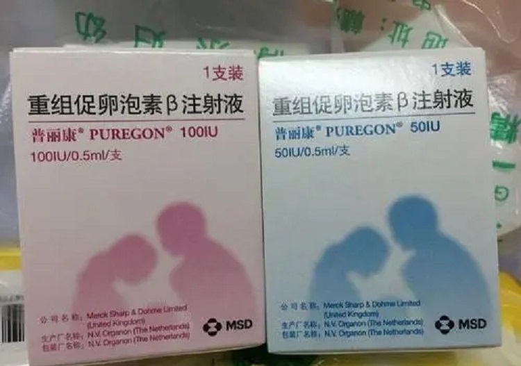 昆明和万家赠卵试管代生成功率高吗-昆明和万家赠卵做借卵试管医院成功吗