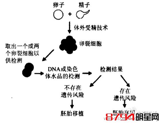 借用卵子做赠卵供卵试管助孕的详细费用