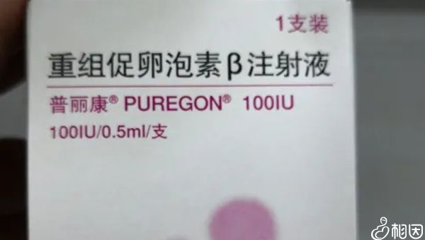北京做借卵试管婴儿的流程有哪些