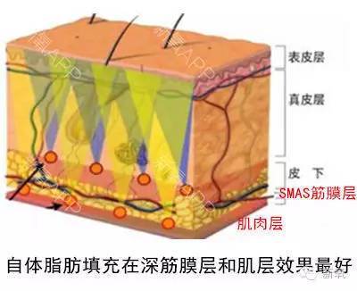 国内三代供卵试管什么时候开始