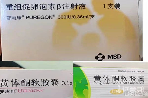 四十五岁做试管成功率大吗