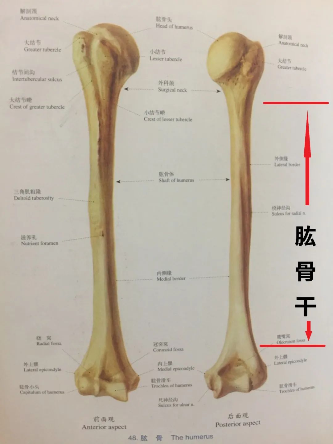 第三代试管移植一定成功