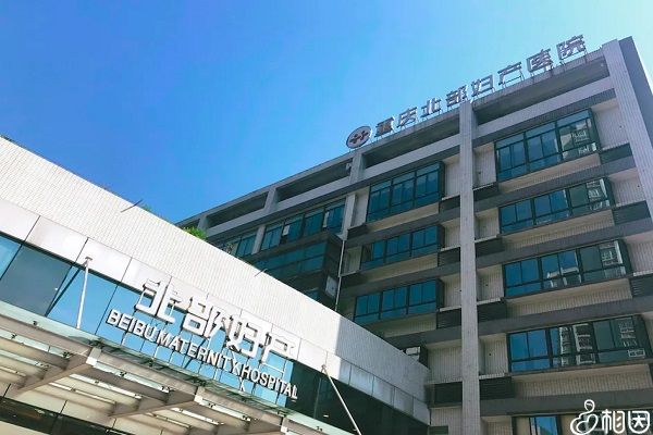国内同性恋试管代怀移植后的心情各国代怀孩子有哪些中介需要多少钱