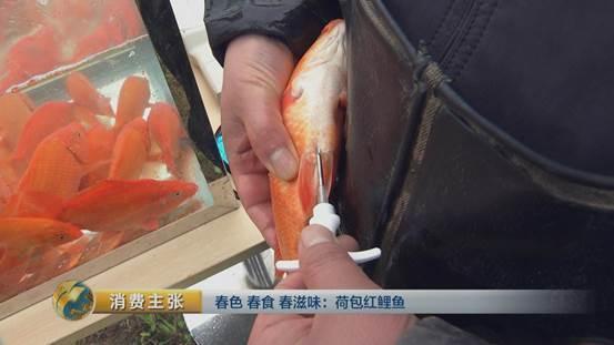 北京代怀包生女孩价格会出现弊端和后遗症？