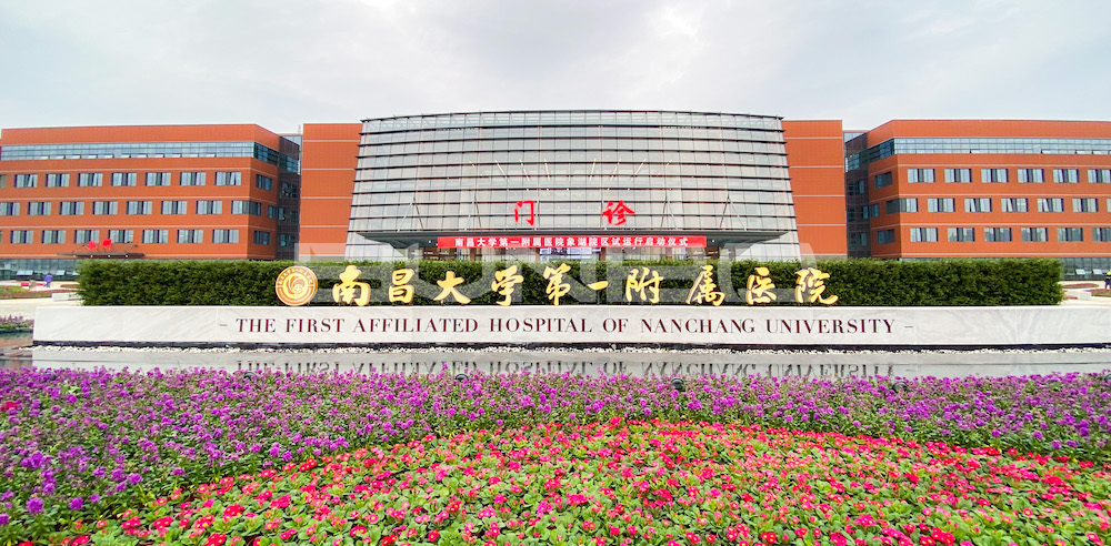 试管都是双胞胎吗,别老想着要双胞胎