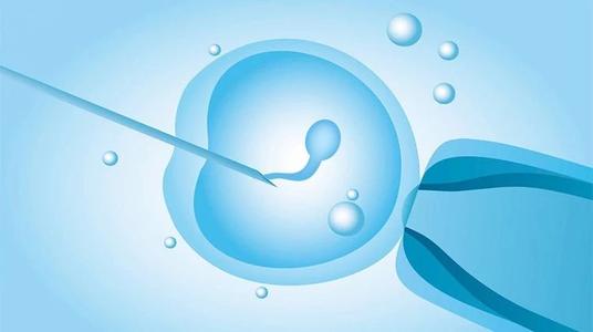 全面了解试管4ab的囊胚,质量、成功率怎么样这里都有