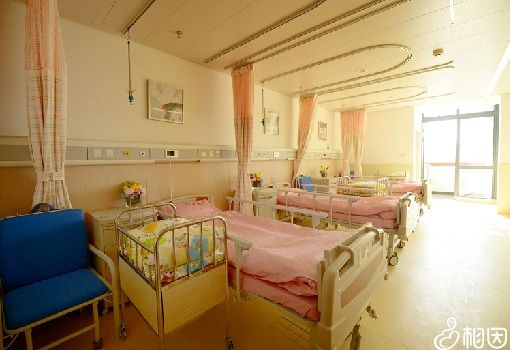 北京供卵代怀医院有哪些（北京妇幼和北京中心医院哪家试管技术更好）