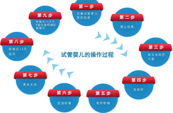 北京二院失独家庭生子如何