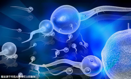 2024北京燕达代怀价钱婴儿费用指南,减免、报销全掌握
